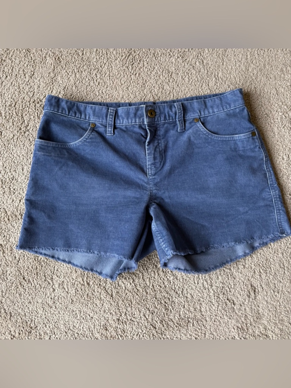 Carve Designs Oahu 4” shorts (aka Dogtown shorts)
